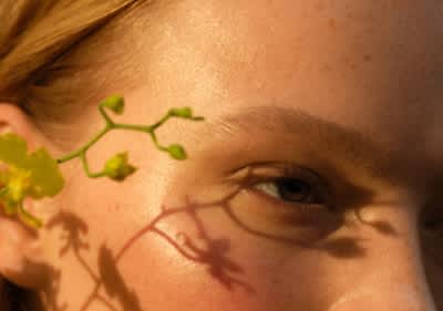 Entdecke die Gesichts- und Körpercreme Weleda Skin Food Original.