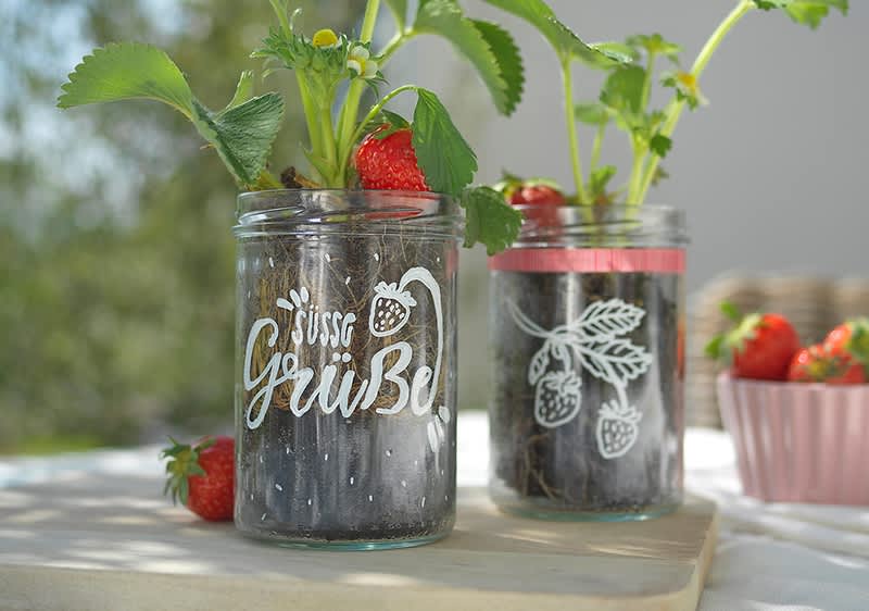 Pflanzentöpfe für Erdbeeren