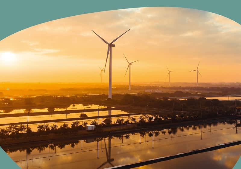 Artikelplatzhaltertext