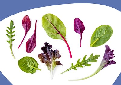 Salatblätter von oben fotografiert