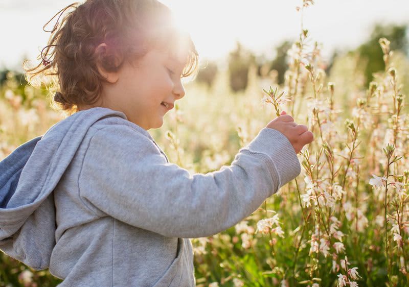 Allergie - für viele eine Plage