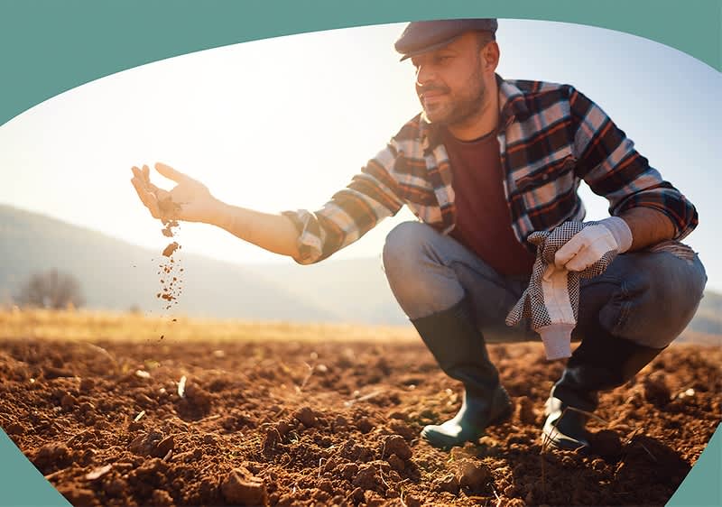 Portraits eines Mannes auf dem Feld