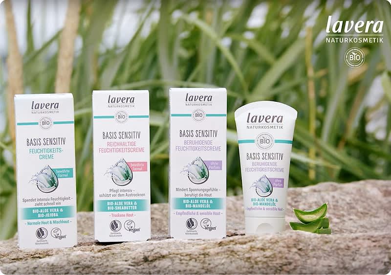 aloe vera sauna Aloe Vera-Öl – Sanfte Pflege und intensive Feuchtigkeit – Joils main image 0