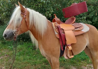 Therapieverein Pferdetraum e. V.