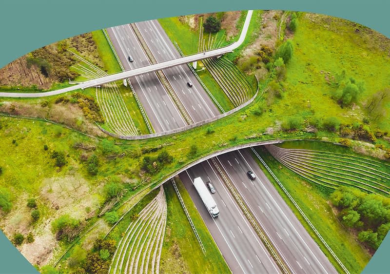 „Ecoduct De Borkeld“ bei Rijssen (Niederlande)