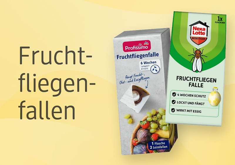 Fruchtfliegenfallen