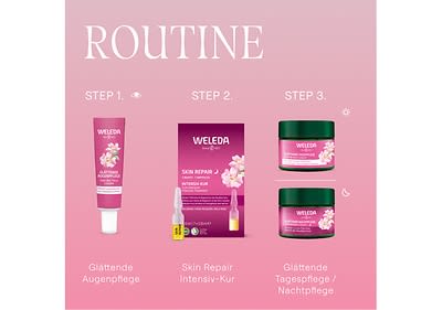 Deine Gesichtspflege Routine mit Weleda Wildrose und Weißer Tee