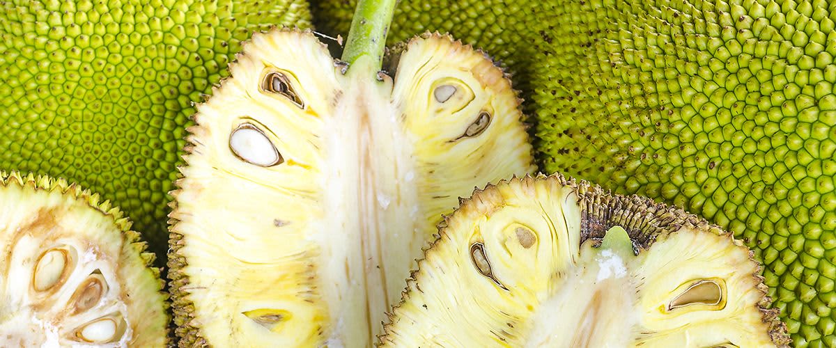 So sieht eine Jackfruit von innen aus