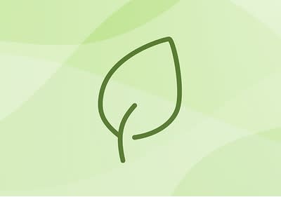 Grünes Blatt auf hellgrünem Hintergrund