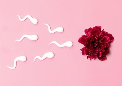 Invitro Fertilisation