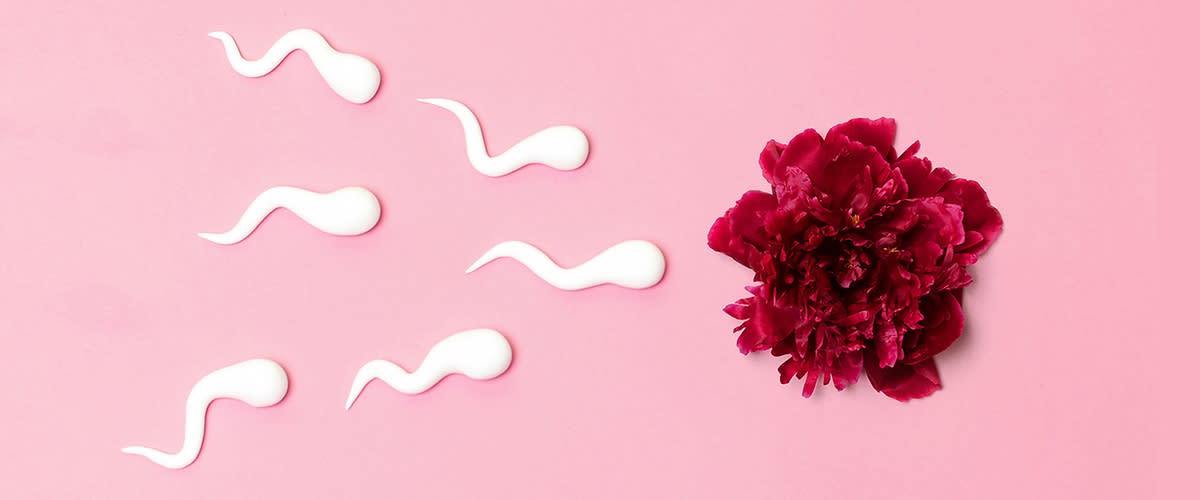 Invitro Fertilisation