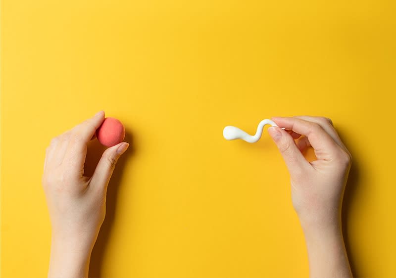 Künstliche Befruchtung