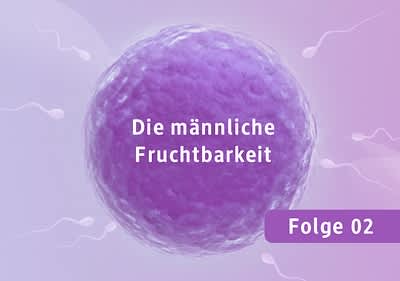 Die männliche Fruchtbarkeit