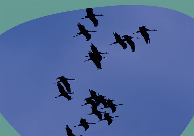 Artikelplatzhaltertext