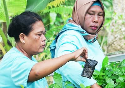 Zwei Frauen arbeiten im Garten