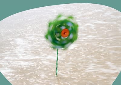 Artikelplatzhaltertext