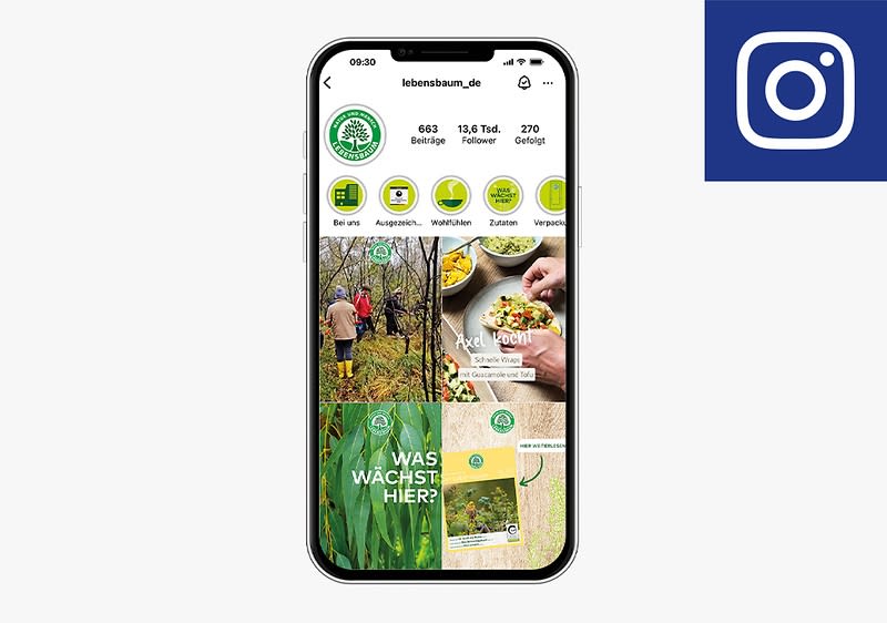 Betrachte Bilder und Beiträge von Dummy auf Instagram.