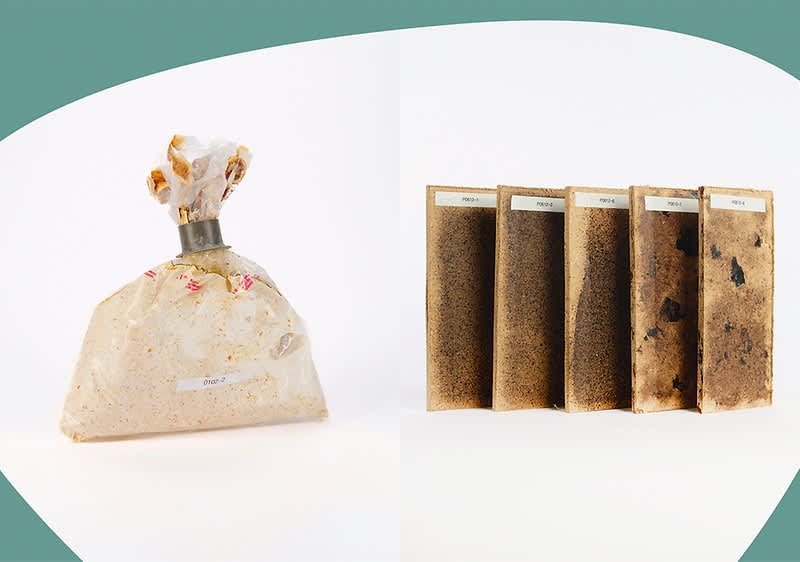 Pilzzuchtbeutel und Substratproben