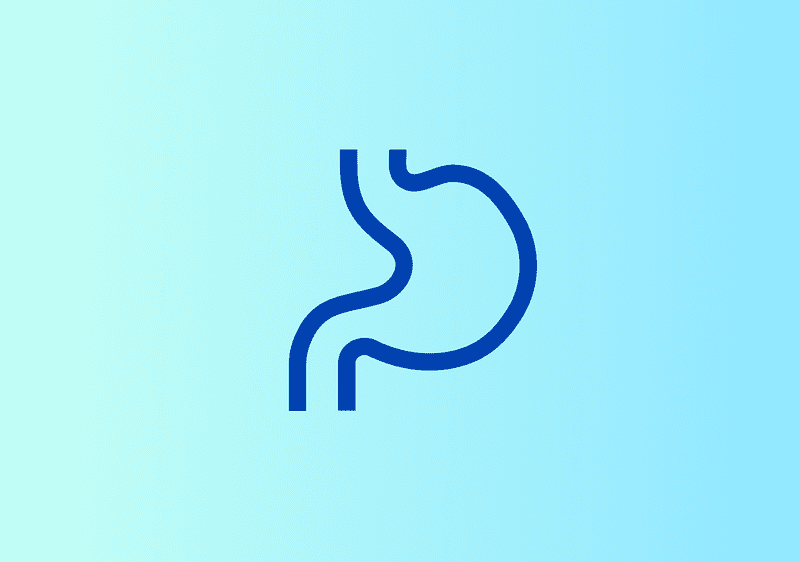 Eine minimalistische Illustration eines blauen Magens auf hellblauem Hintergrund