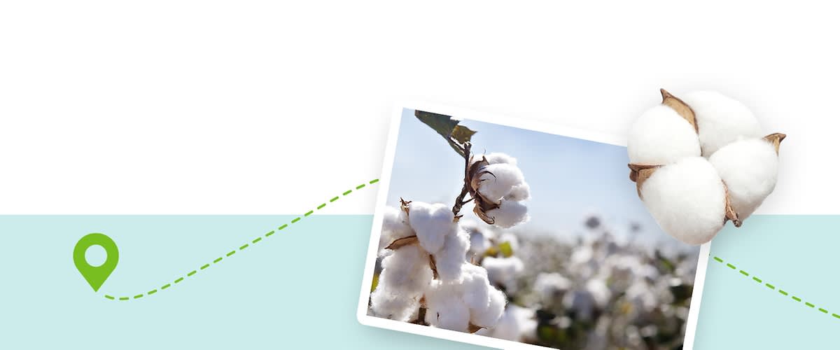 Foto von Baumwollpflanzen im Feld