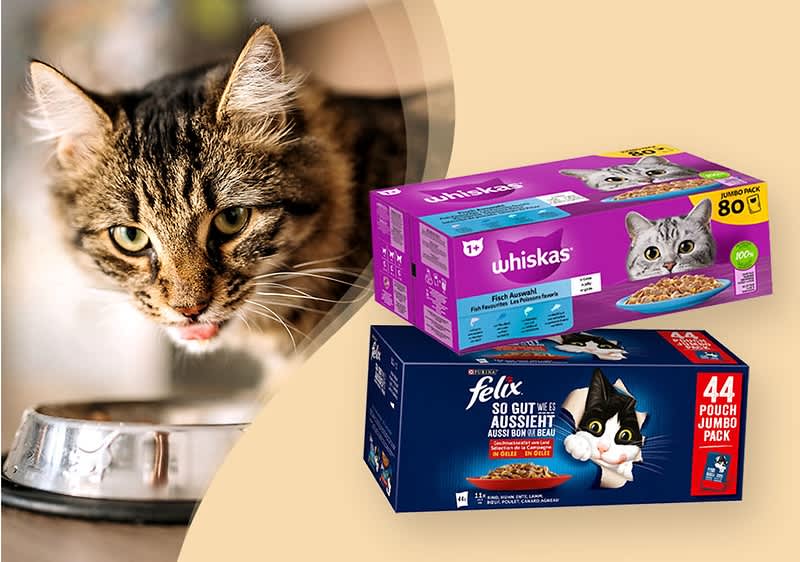 Katze frisst, Whiskas und Sheba Packungen