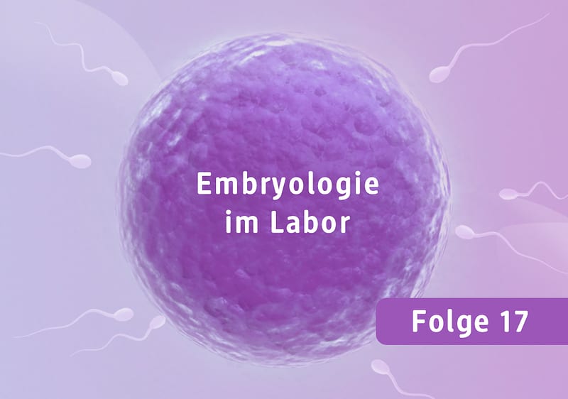 Embryologie im Labor Folge 17