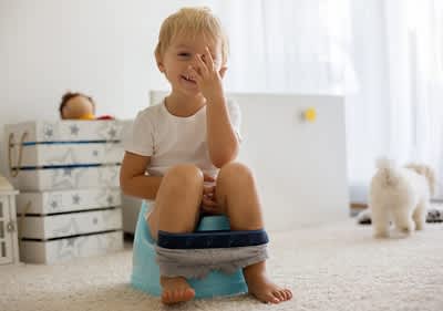 Verdauung erklärt Beitragsbild