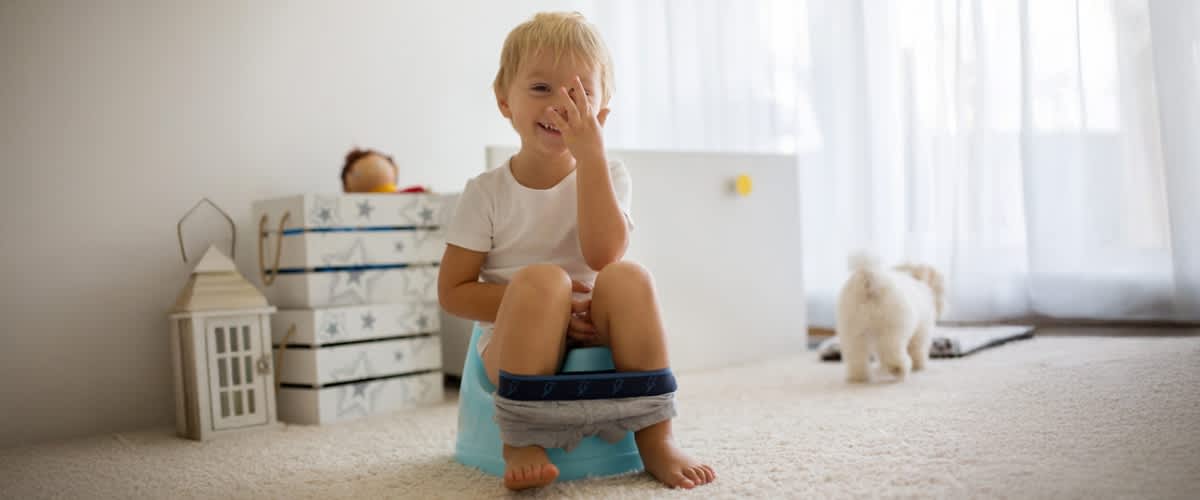 Verdauung erklärt Beitragsbild