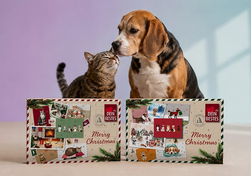 Zwei Adventskalender mit weihnachtlichen Collagen und Aufschrift „Merry Christmas“ auf einem Tisch, dahinter eine Katze und ein Hund, die sich gegenseitig beschnüffeln