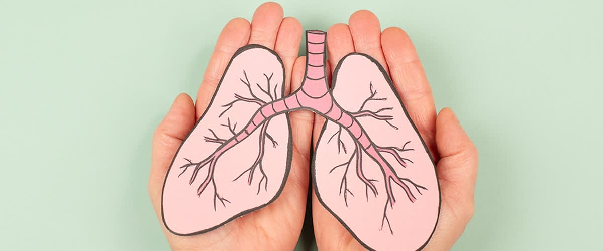 Zwei Hände halten eine Illustration von rosa Lungen mit verzweigten Bronchien auf einem hellgrünen Hintergrund