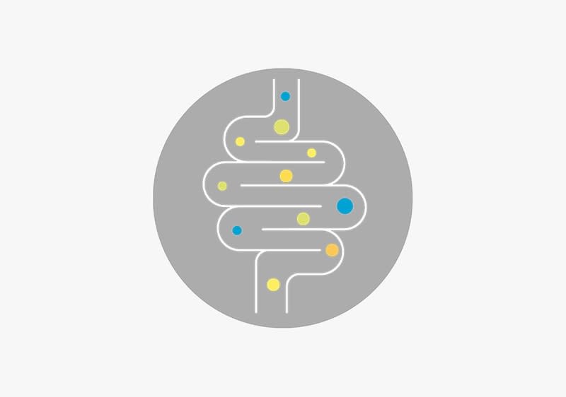 Eine Illustration eines stilisierten Darms in einem grauen Kreis, durchzogen von weißen Linien und bunten Punkten in Blau, Gelb und Grün