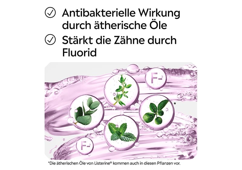 Ein weißer Hintergrund mit zwei Textzeilen: „Antibakterielle Wirkung durch ätherische Öle“ und „Stärkt die Zähne durch Fluorid“. Darunter eine Illustration mit lila Flüssigkeit und fünf runden Bildern von Pflanzen, darunter Minze und Eukalyptus. Unten steht der Hinweis „Die ätherischen Öle von Listerine® kommen auch in diesen Pflanzen vor“