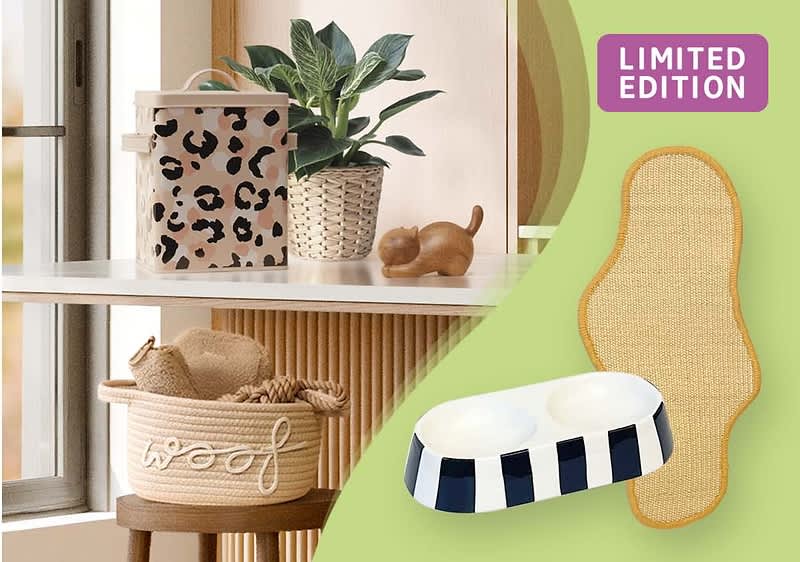 Ein Regal mit einem beige-schwarzen Behälter im Leopardenmuster, daneben eine Pflanze in einem geflochtenen Topf und eine braune Hundeskulptur. Unten ein Korb mit der Aufschrift „Woof“ und ein schwarz-weiß gestreifter Napf auf einer beigen Matte. Oben rechts ein lila Schild mit der Aufschrift „Limited Edition“