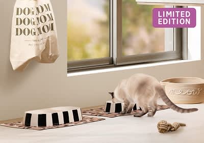 Ein rosa Behälter mit Leopardenmuster und Henkel steht auf einem Tisch neben einer Pflanze und einer Holzfigur, darüber ein lila Schild mit der Aufschrift „LIMITED EDITION“