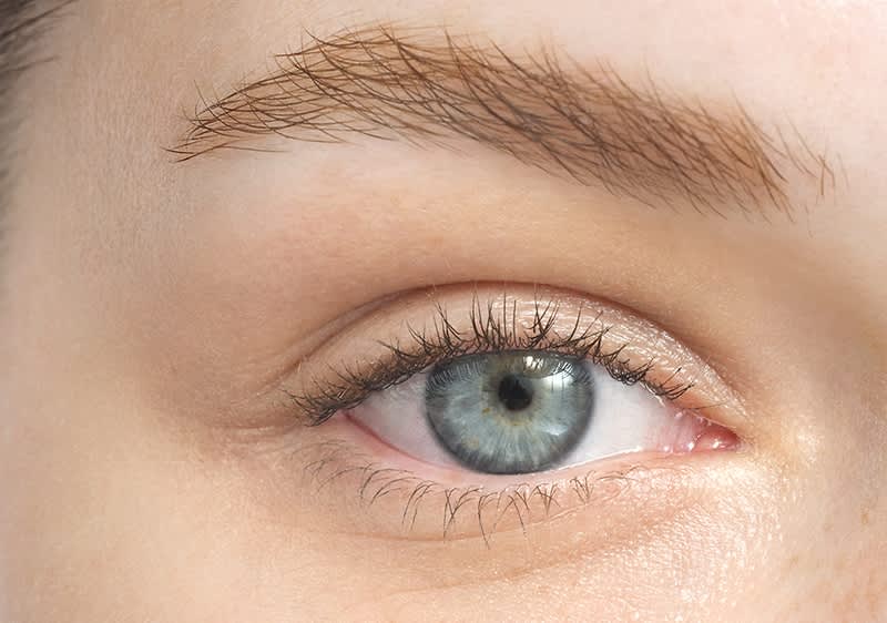 Nahaufnahme eines menschlichen Auges mit blauer Iris und natürlichen Wimpern, das von einer gepflegten Augenbraue umrahmt wird