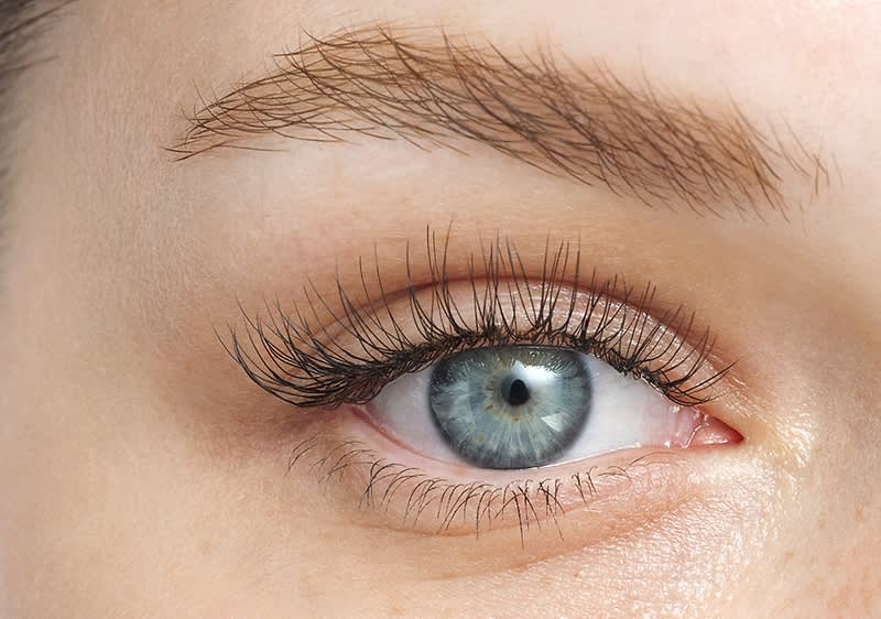 Nahaufnahme eines blauen Auges mit langen Wimpern und gepflegter Augenbraue