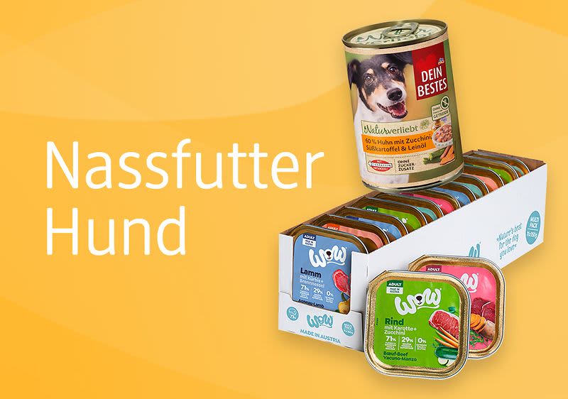 Nassfutter für den Hund