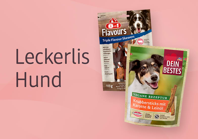 Zwei Hundesnack-Verpackungen auf rosa Hintergrund, links Text „Leckerlis Hund“, rechts vorne grüne Packung „DEIN BESTES“ mit Foto eines Hundes und Aufschrift „Vegane Rezeptur Knabbersticks mit Karotte & Leinöl“, hinten braune Packung „8in1 Flavours Triple Flavour Skewers“