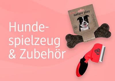 Zubehör für den Hund
