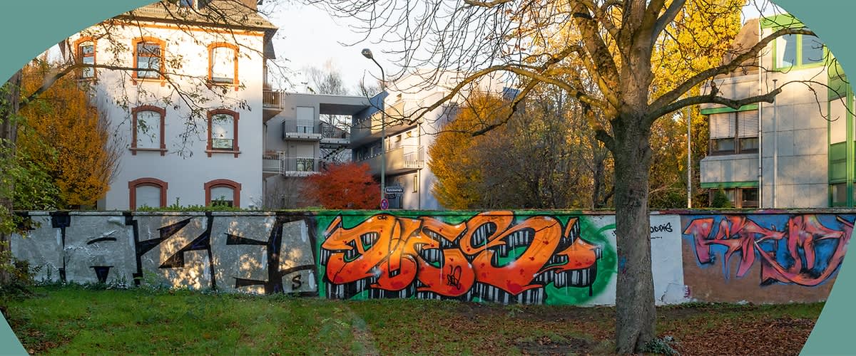 Eine Wand mit bunten Graffiti steht in einem Park mit Herbstlaub und einem Baum im Vordergrund. Im Hintergrund sind Wohnhäuser zu sehen.