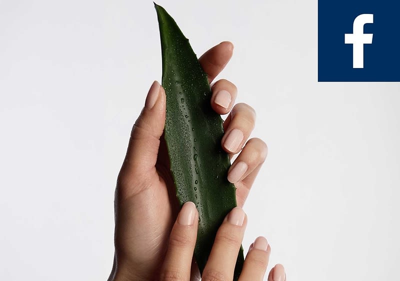 Hände mit gepflegten, pastellrosa lackierten Nägeln halten ein langes, grünes Aloeblatt mit Wassertropfen, rechts oben kleines weißes Facebook‑Logo auf dunkelblauem Quadrat