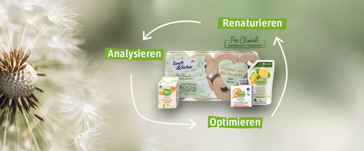 Mehrere dm-eigene Produktverpackungen (Toilettenpapier in Recyclingverpackung, feste Seife, Flüssigseife und ein kleines Getränkekarton) mittig, umgeben von grünen Pfeiltexten „Analysieren“, „Optimieren“, „Renaturieren“ und dem Schriftzug „Pro Climate“ auf hellem, grünen Hintergrund
