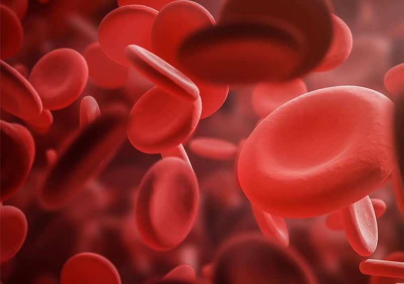 Rote Blutkörperchen in verschiedenen Blickwinkeln und Größen, dicht verteilt in einem roten Plasma-Hintergrund ohne weitere Objekte