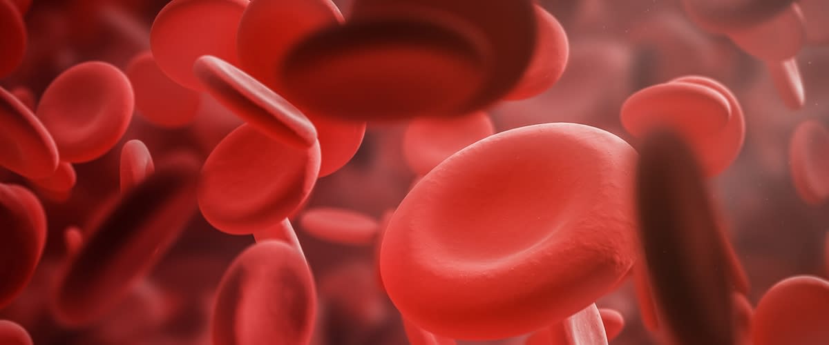 Rote Blutkörperchen in verschiedenen Blickwinkeln und Größen, dicht verteilt in einem roten Plasma-Hintergrund ohne weitere Objekte