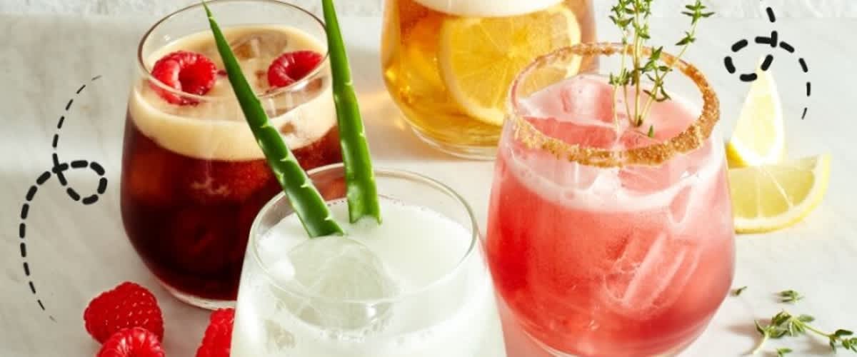 Vier bunte Cocktails in runden Gläsern auf hellem Untergrund, vorne links ein milchig-weißer Drink mit Aloe-Blättern, vorne rechts ein rosafarbener Drink mit Zuckerrand und Thymian, hinten links ein dunkler Drink mit Himbeeren, hinten rechts ein gelblicher Drink mit Zitronenscheibe