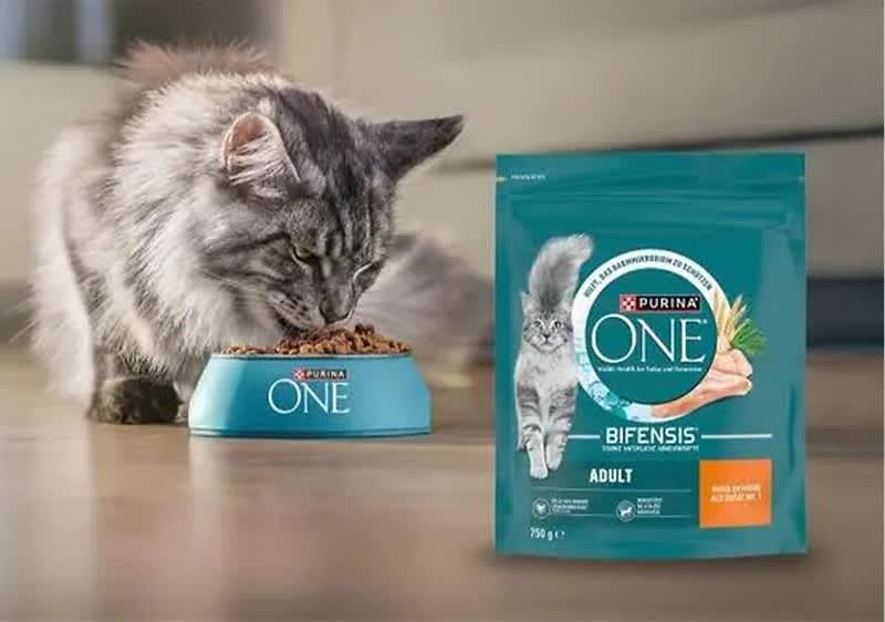 Graue Langhaarkatze frisst aus blauem Futternapf mit Aufschrift „ONE“, daneben stehende grüne Verpackung Purina ONE Bifensis Adult mit Katzenabbildung und Text „Purina ONE BIFENSIS ADULT“