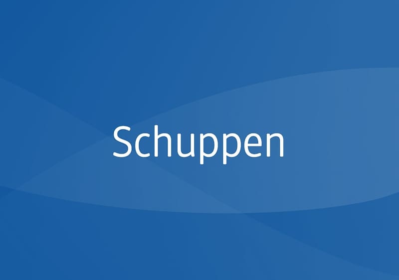 Blauer Hintergrund mit wellenförmigen Farbverläufen und weißem Text „Schuppen”