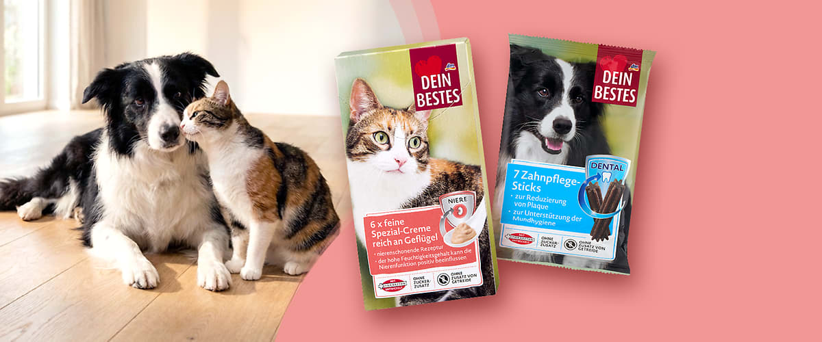 Ein Hund und eine Katze sitzen nebeneinander auf hellem Holzboden, rechts zwei Produktverpackungen der Marke „Dein Bestes“ sichtbar: eine grüne Schachtel mit Katzenbild und Aufschrift „6 x feine Spezial-Creme reich an Geflügel“ und eine rote Packung mit Hundebild und Aufschrift „7 Zahnpflege-Sticks“. Bild mithilfe von KI erstellt