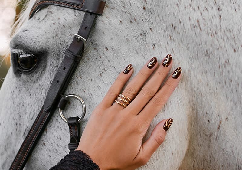 Hand mit dunkelrotem Nagellack und goldenen Mustern sowie mehreren goldenen Ringen liegt auf dem hellgrauen Pferdekopf mit Trense und gesprenkeltem Fell