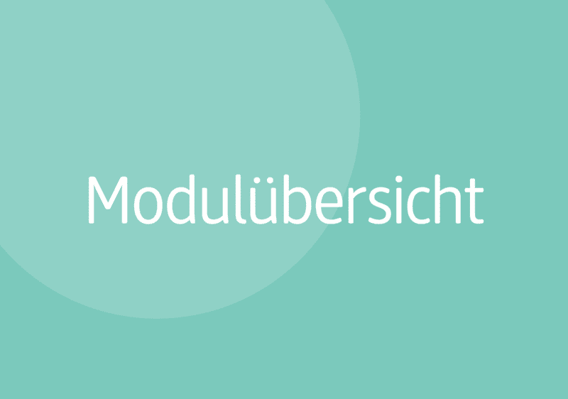 Modulübersicht